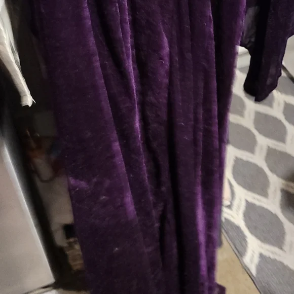 Costume Dress - Picture 6 of 7